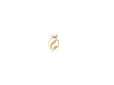 Royal Glow Studio